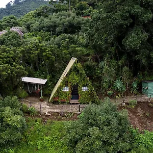 https://earth-lodge.guatemalaantiguahotels.com