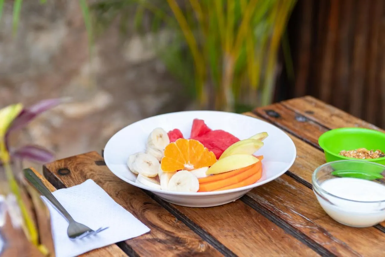 Chill Inn Hostel Tulum Mexique